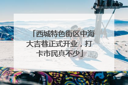 西城特色街区中海大吉巷正式开业，打卡市民真不少